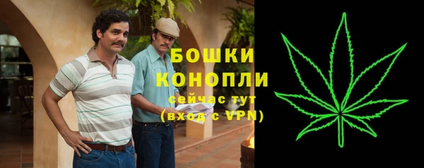 сатива Гусев