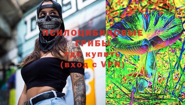 гидра Гусь-Хрустальный