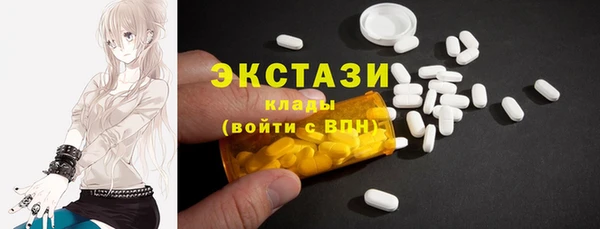 гидра Гусь-Хрустальный