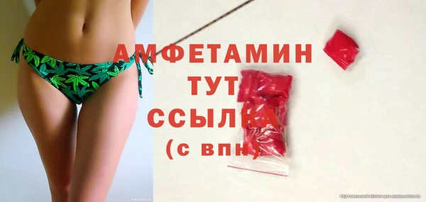 сатива Гусев