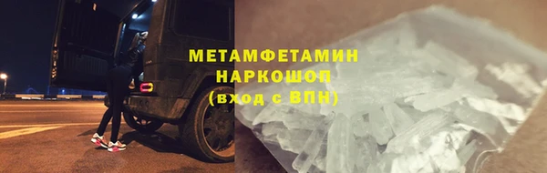 сатива Гусев