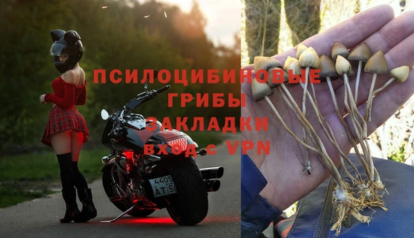 spice Гусиноозёрск