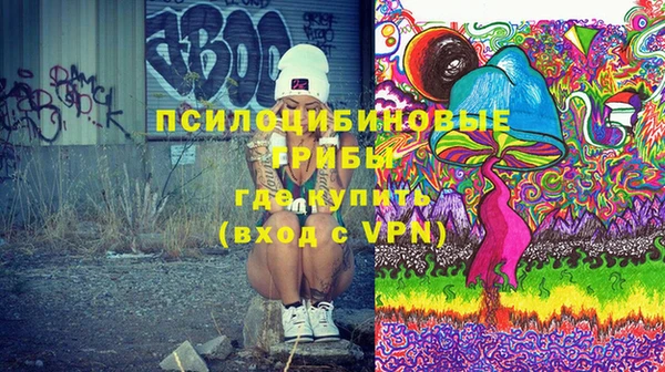 гидра Гусь-Хрустальный