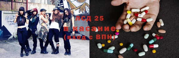 сатива Гусев