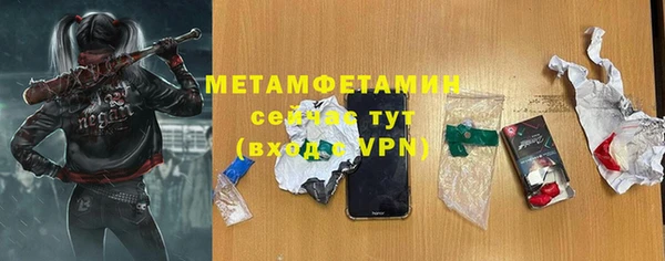 сатива Гусев