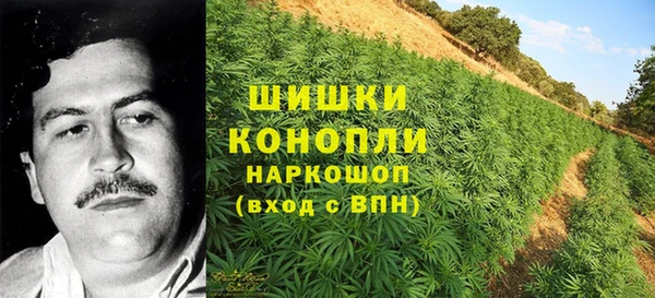 spice Гусиноозёрск