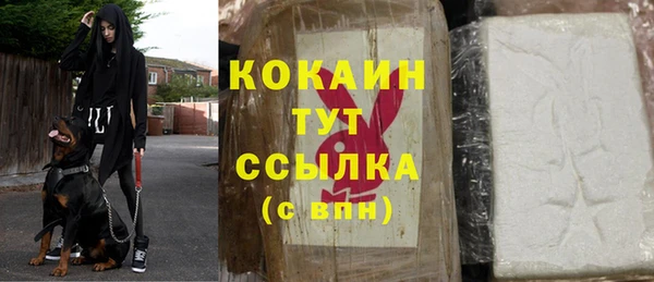 spice Гусиноозёрск