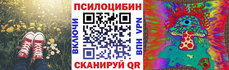 Купить  Лесосибирск  Псилоцибиновые грибы Cubensis 